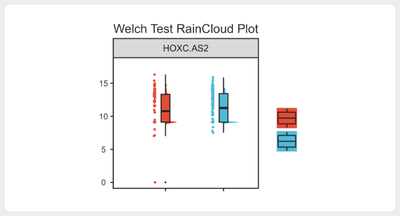 Welch Test.png