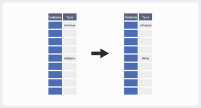 Transfer Variable Type.png