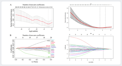 Lasso Regression Cox.png