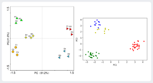 Principal Component Analysis.png