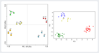 Principal Component Analysis.png