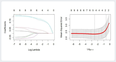 Lasso Regression Poisson.png