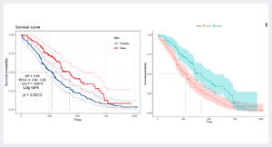 Kaplan Meier Survival Curve.png